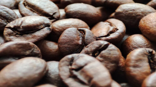Il caffè è nato più di 600.000 anni fa in Etiopia