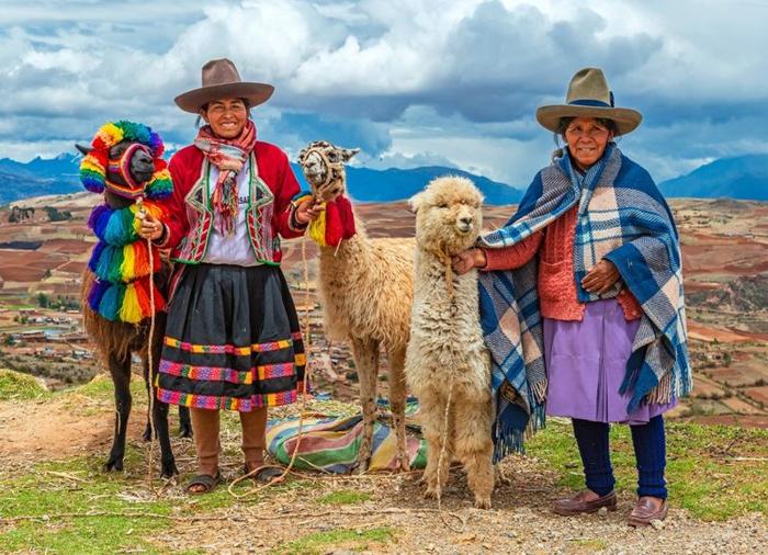 Piante medicinali degli Inca