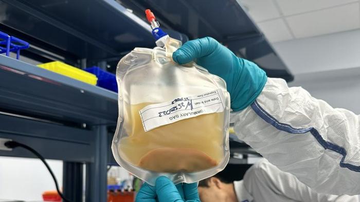 liver-m-1.jpg