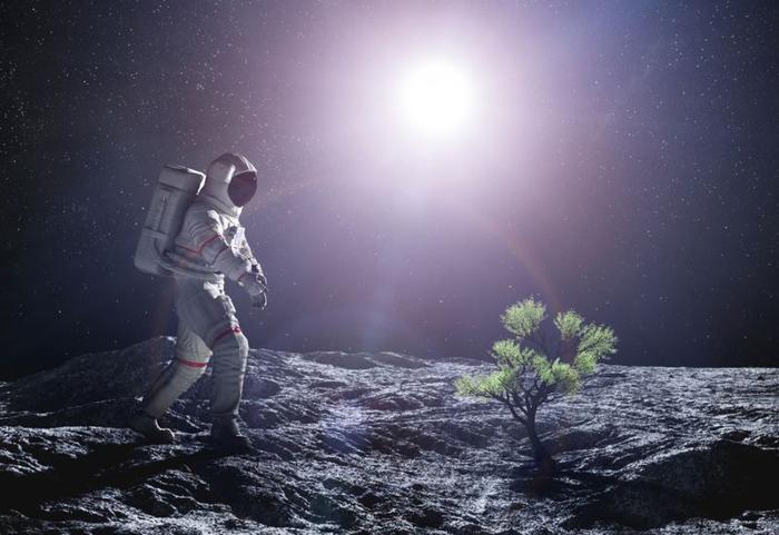 Astronauta sulla luna che cammina vicino a una pianta.