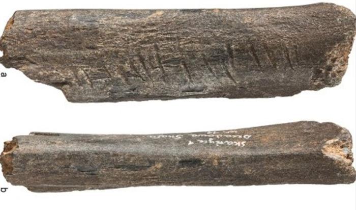 Antichi segni Neanderthal in Europa: simbolismo e macellazione