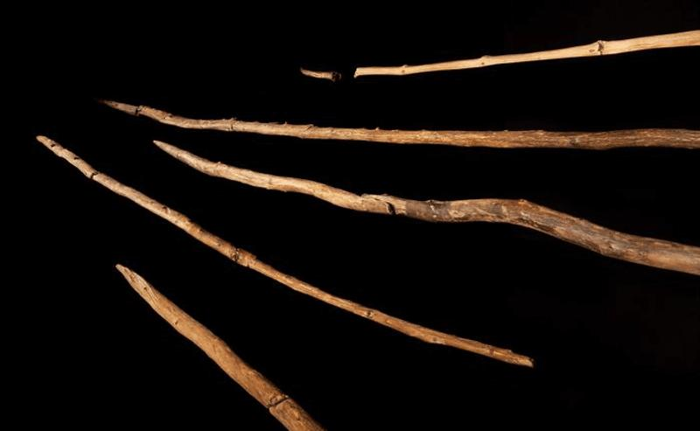 Lance di Schöningen presentate in una mostra del Forschungsmuseum Schöningen. Sono stati trovati solo due strumenti di legno più antichi confermati.