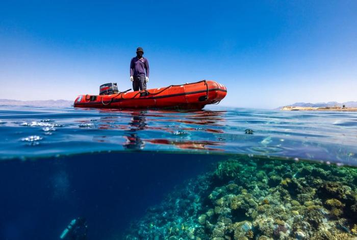 Il Mar Rosso: Tesoro di Biodiversità e Speranza per i Coralli