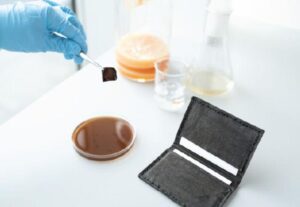 Moda sostenibile: pelle vegana nera dai batteri