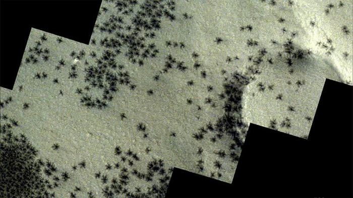 spiders-on-mars-m-1.png
