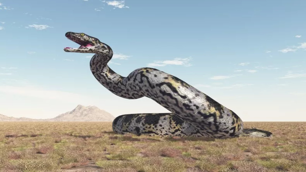 Largest-ever snake fossil found in western India » Science News