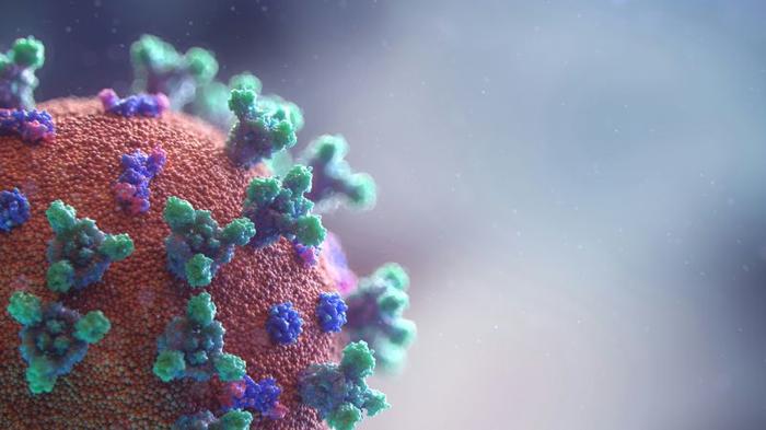 L’eredità virale: i retrovirus antichi e il nostro genoma