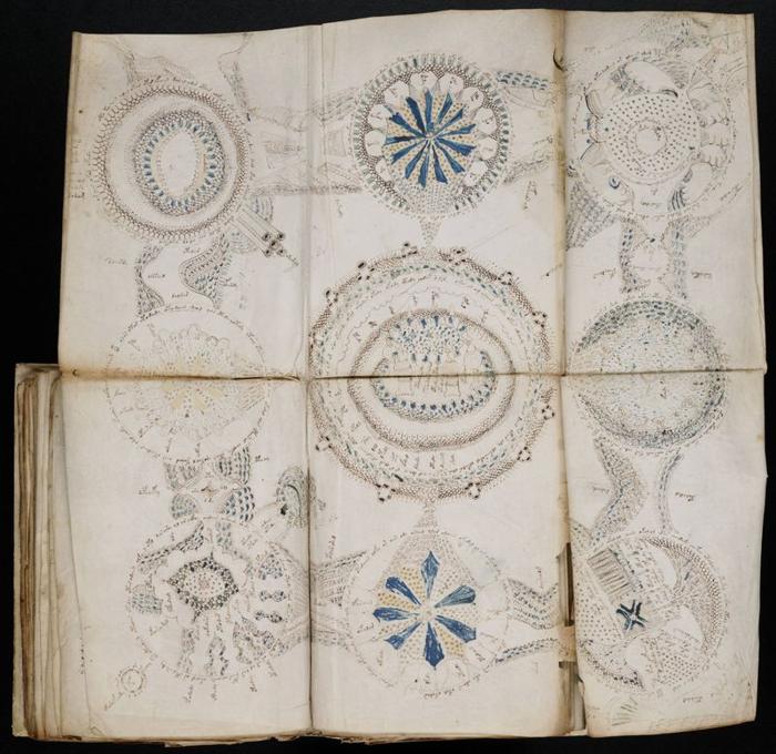 Una foto del disegno a rosetta del Manoscritto Voynich che mostra le nove forme circolari e i vari motivi e dettagli che li adornano. 