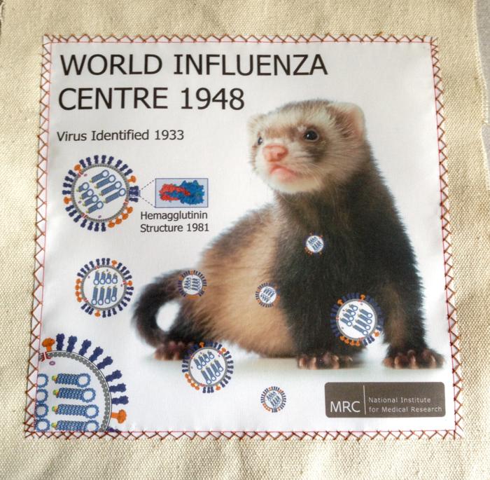 sezione di un arazzo del World Influenza Centre dell'Istituto Nazionale per la Ricerca Medica che commemora l'identificazione del virus dell'influenza nel 1933, con una foto di un furetto accanto a diagrammi del virus