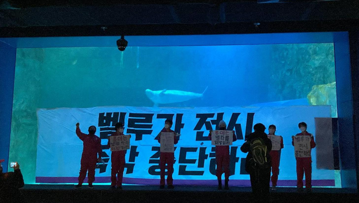 Un gruppo di manifestanti di Hot Pink Dolphins in piedi davanti a un serbatoio di beluga con cartelli in Corea del Sud.
