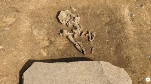 Germania: archeologi scoprono una tomba di un uomo “zombie”