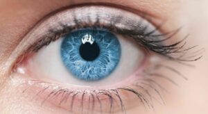 Chi ha gli occhi azzurri vede il mondo il maniera diversa?