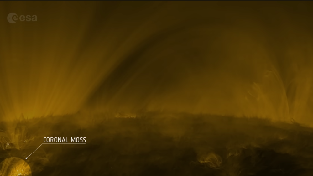 Screenshot-2024-05-14-16.27.31-1.png