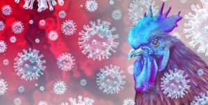 Influenza Aviaria: Rischi e Misure Preventive