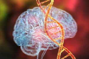 Il ruolo genetico di APOE4 nell’Alzheimer