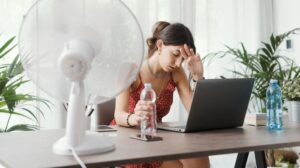 immagine dell'articolo