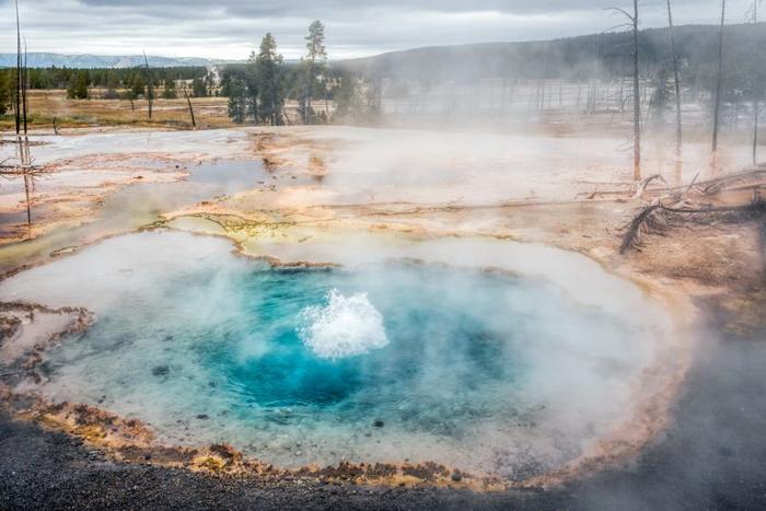 Virus e Alghe Rosse: Antiche Relazioni nelle Sorgenti Termali di Yellowstone