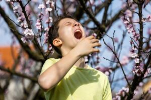 La Primavera Anticipata: Il Polline e i Cambiamenti Climatici