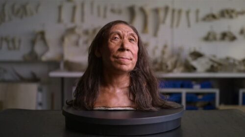 Ricostruito il volto dello scheletro più completo di Neanderthal risalente a 75.000 anni fa