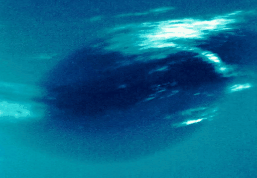 nettuno-1.gif