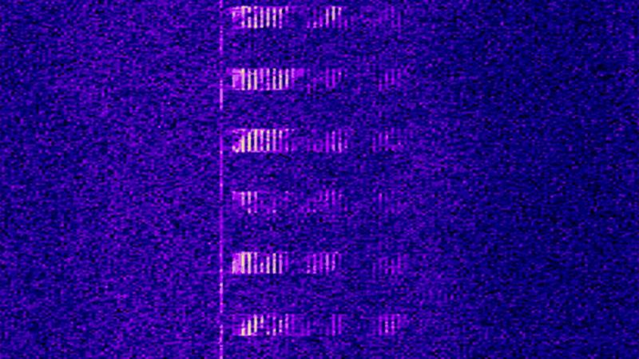 number-stations-m-1.png