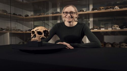 Ricostruito il volto di una donna Neanderthal di 75.000 anni fa