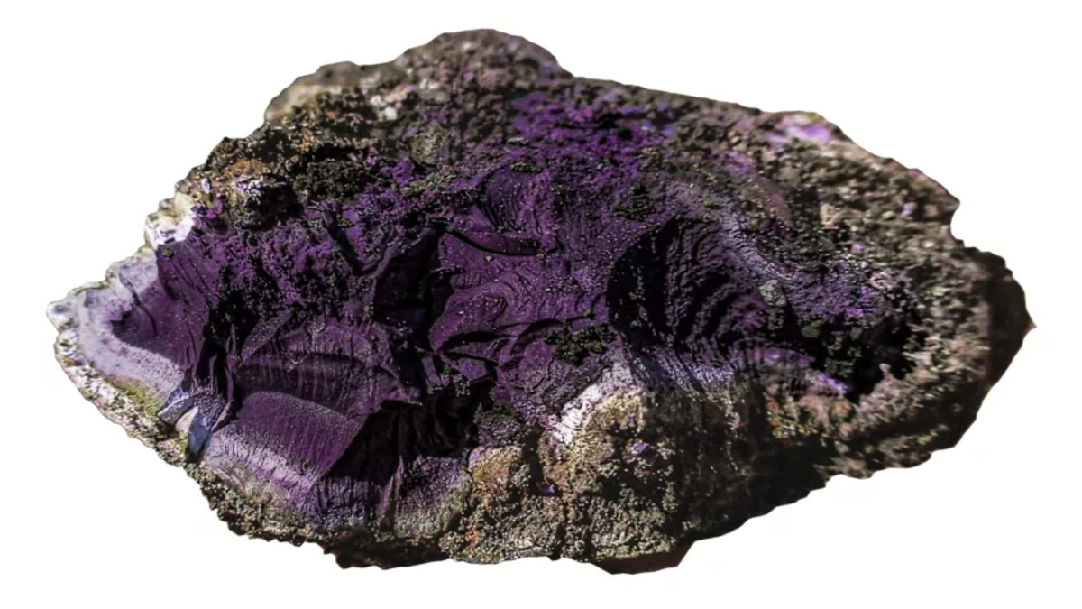 sample-tryian-purple-1-1.jpg