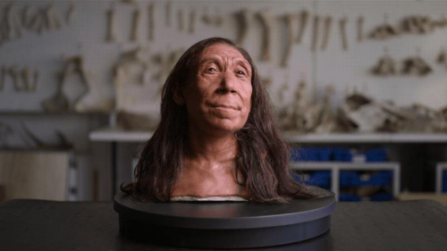 Il Volto della Neanderthal di Shanidar: Una Ricostruzione Straordinaria