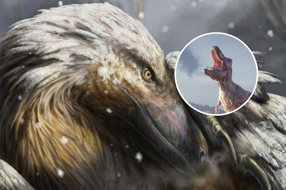 warm-blooded-dino-1.jpg