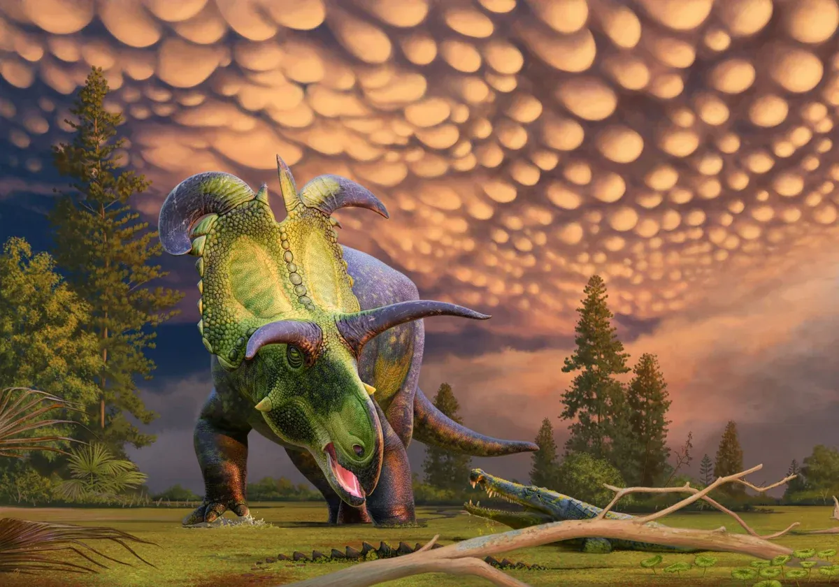 dinosauro-1.webp