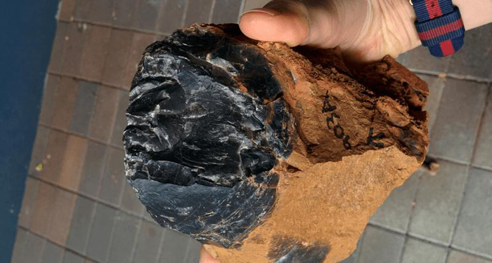 black-chert-m-2.png