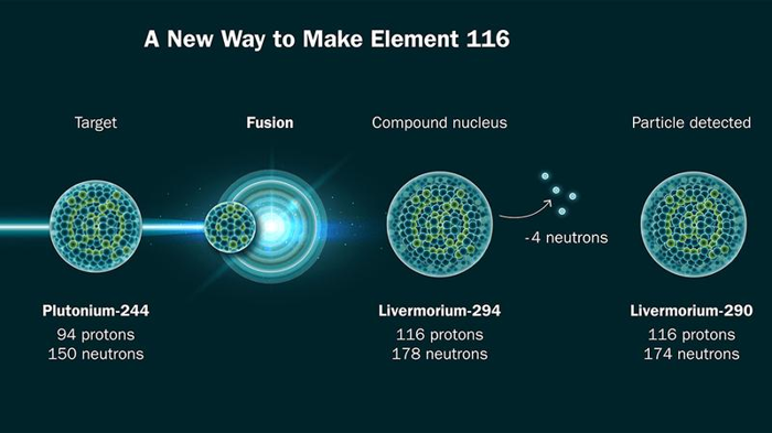 element-116-m-2.png