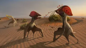 Una nuova specie di Pterosauri scoperta in Brasile