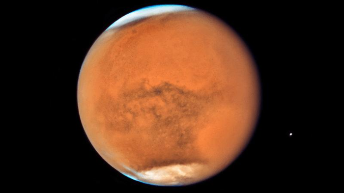 marsbees-m-2.png
