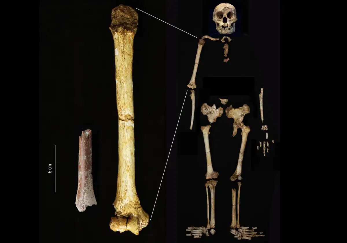 flores-hgfsf-Rio7ryOYgCicJaObTRa2oaJ-1200x840@diario_abc-1.webp