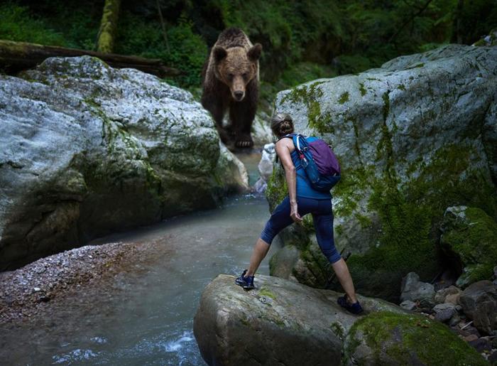 woman-surprised-by-bear-m-1.jpg