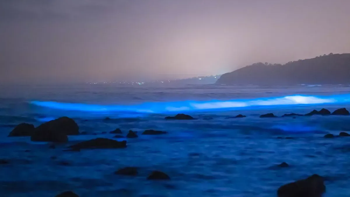 Le onde dell’oceano si tingono di blu bioluminescente davanti alle coste di San Diego