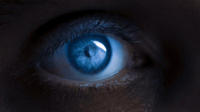 forensic-optography-m-1.png