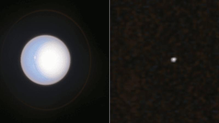 hvnh-m-1.png