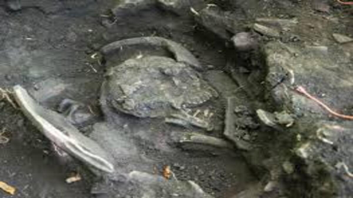 images-2-1-1.jpg