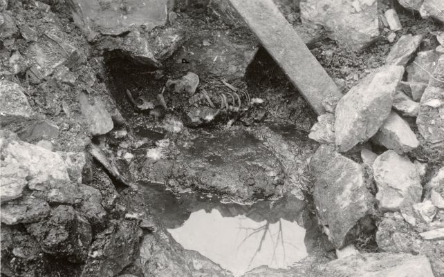 well-man-1938-1-1.jpg