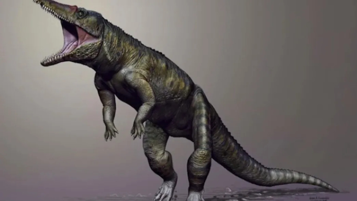 1464362247-1301-researchers-discover-enormous-ancient-crocodile-that-walked-upright-l-1-1.jpg