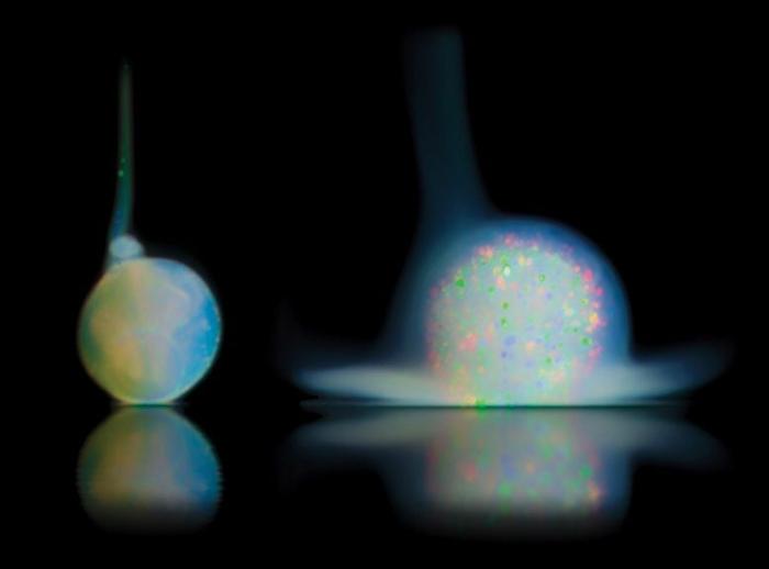 Colloidal-Suspension-After-Being-Added-to-Suspension-Medium-777x575-1-1.jpg