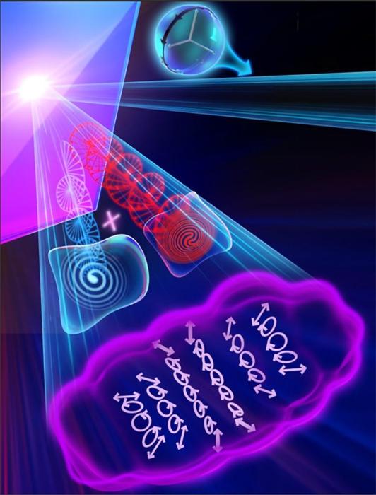 Schematics-of-Multiplexing-Metadevices-Based-on-Coherent-Wave-Interferences-777x1022-1-1.jpg