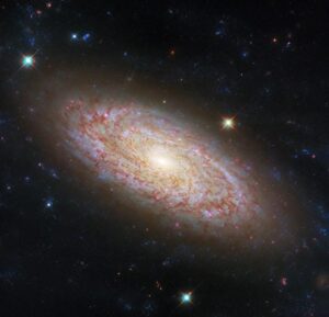 Galassia a spirale NGC 2090