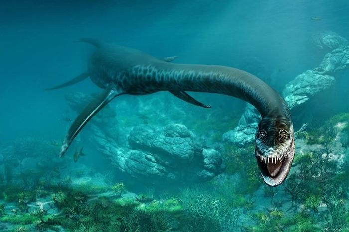 Styxosaurus-Plesiosaur-777x518-1-1.jpg