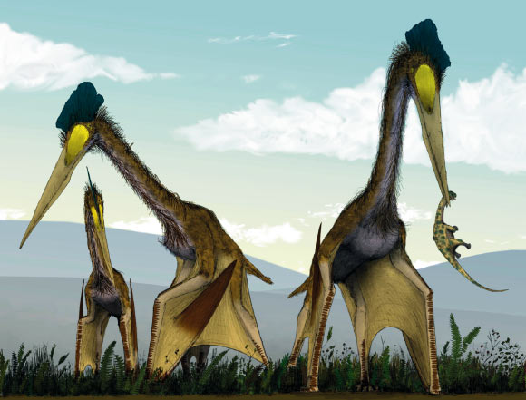 image_2107-Quetzalcoatlus-1.jpg