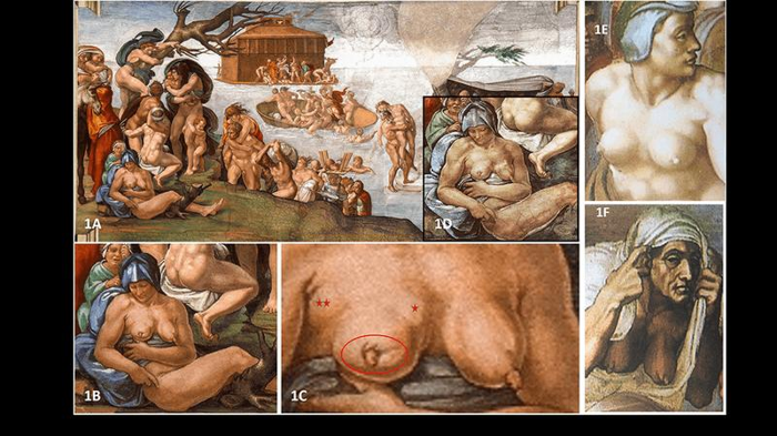 michelangelo-s-breasts-m-1.png