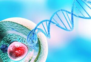 Illustrazione 3D di una sezione trasversale di una cellula con un doppio elica che ne emerge