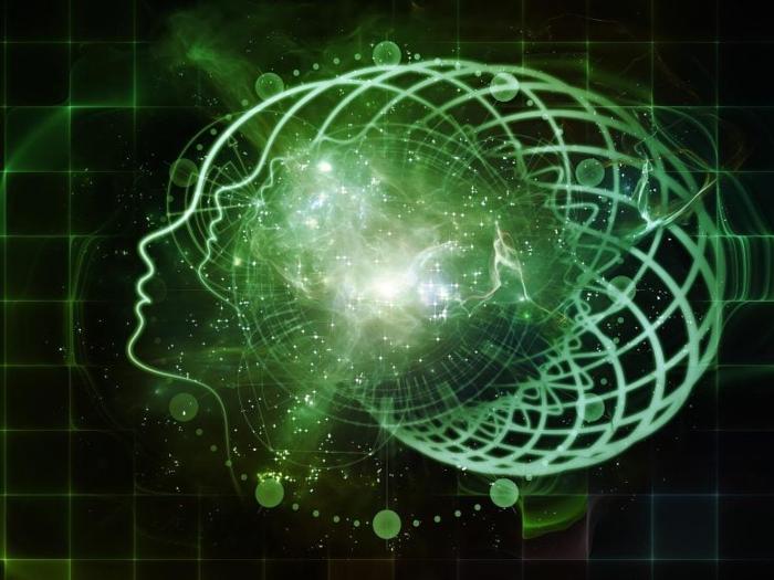 Brain-Memory-Intelligence-Consciousness-777x583-1-1.jpg
